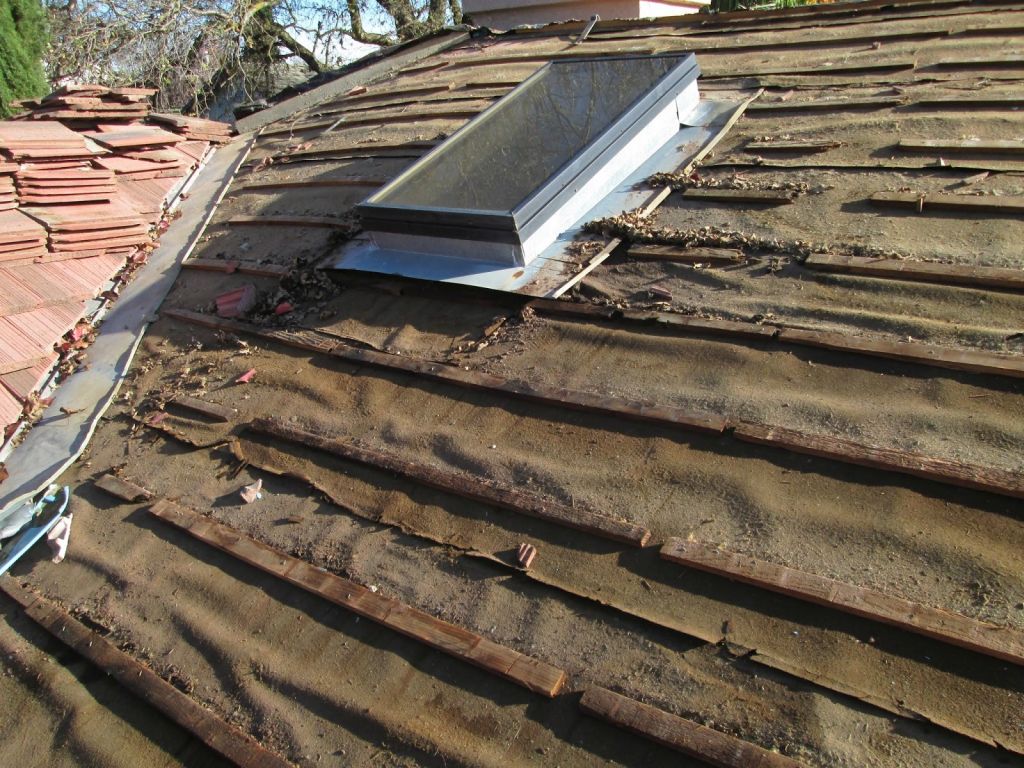 Shingle Roofing